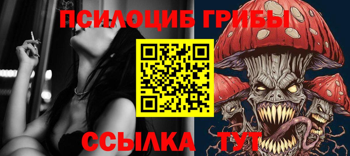 Апрелевка  Псилоцибиновые грибы Psilocybine cubensis  цена наркотик  Вход с VPN 