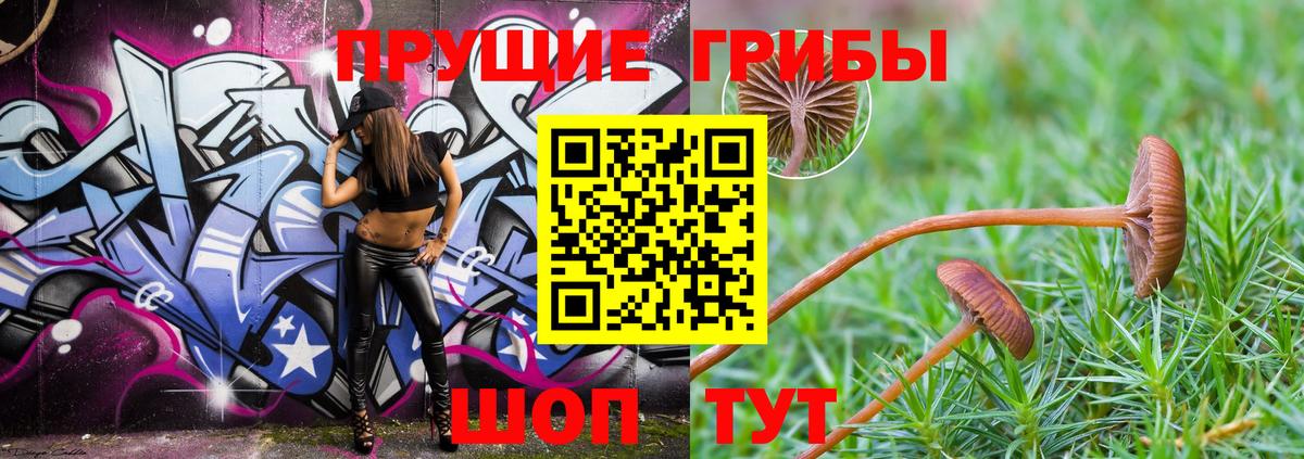 Псилоцибиновые грибы мицелий Апрелевка